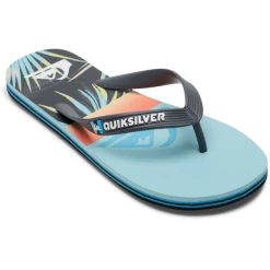 Quiksilver Molokai Art Sandals Boys blue 2