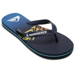 Quiksilver Molokai Art Sandals Boys blue 3